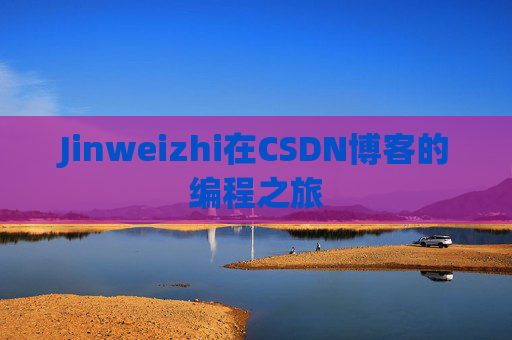 Jinweizhi在CSDN博客的编程之旅